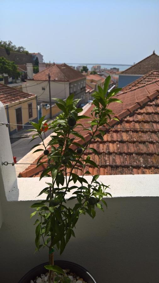 Casa Do Viso Villa Setúbal Eksteriør billede